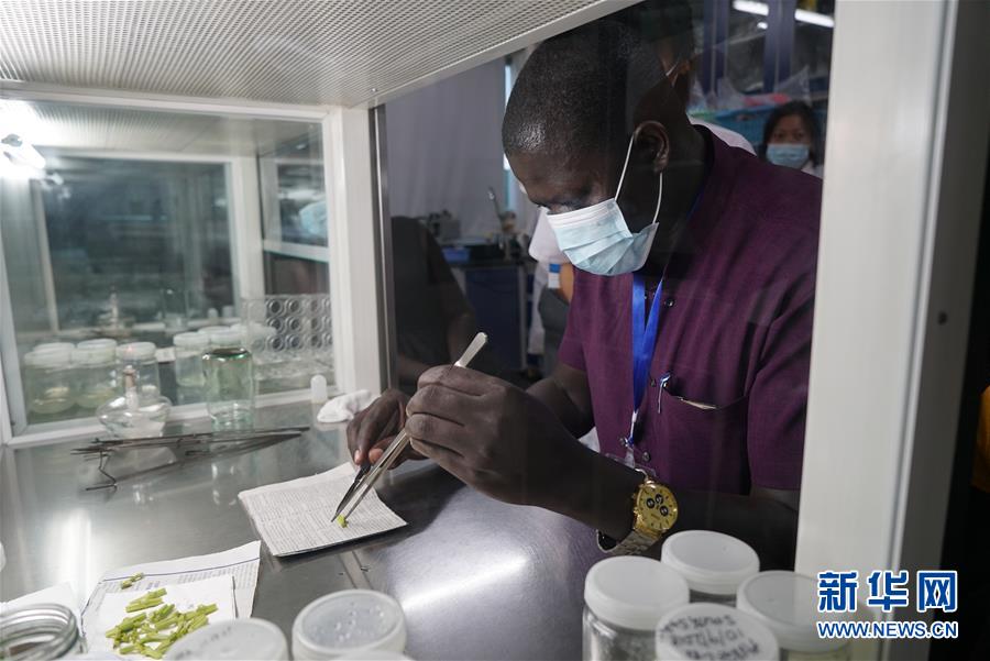 （在習(xí)近平新時(shí)代中國(guó)特色社會(huì)主義思想指引下&mdash;&mdash;新時(shí)代新作為新篇章&middot;總書記關(guān)切開放事&middot;圖文互動(dòng)）（8）來中國(guó)&ldquo;學(xué)種地&rdquo;的&ldquo;洋學(xué)生&rdquo;