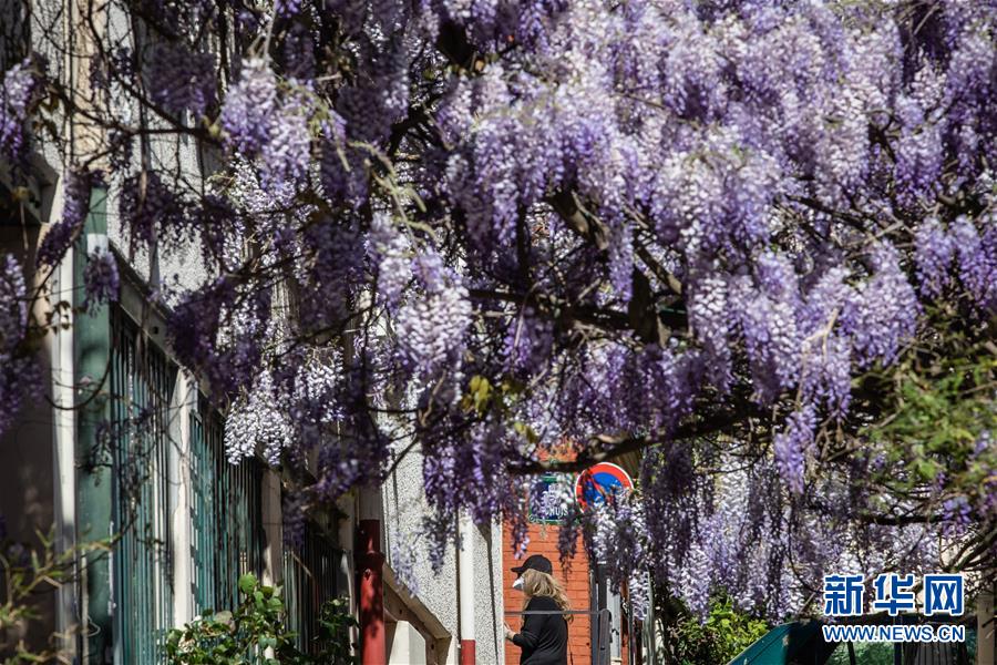 （國際疫情）（2）法國新冠患者住院人數首次出現下降