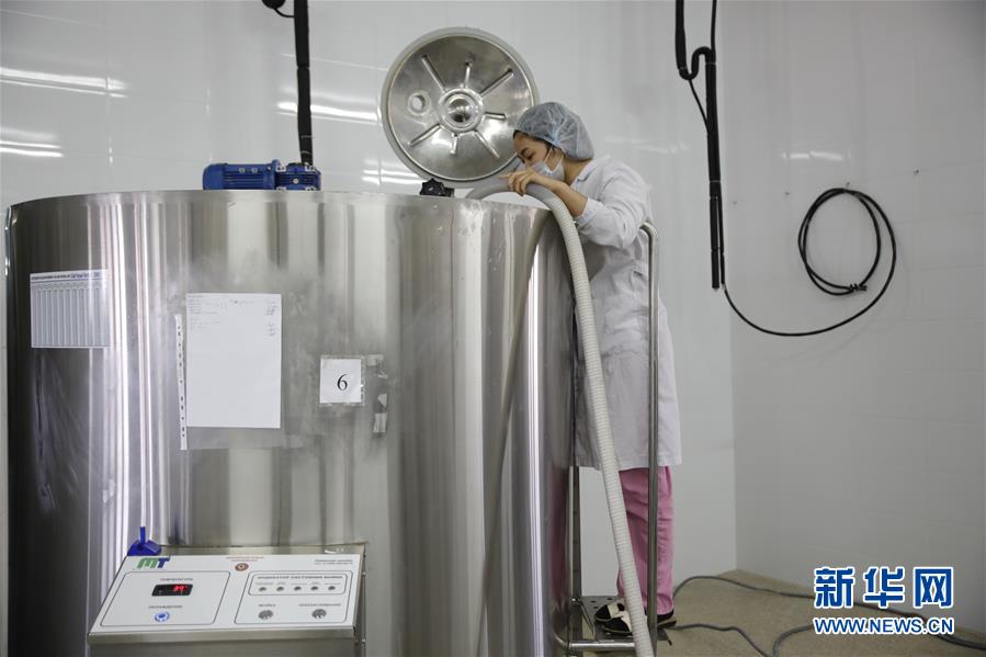 (國際·圖文互動)(4)從“先遣隊”到“正規軍”——哈薩克斯坦駱駝奶粉入華記