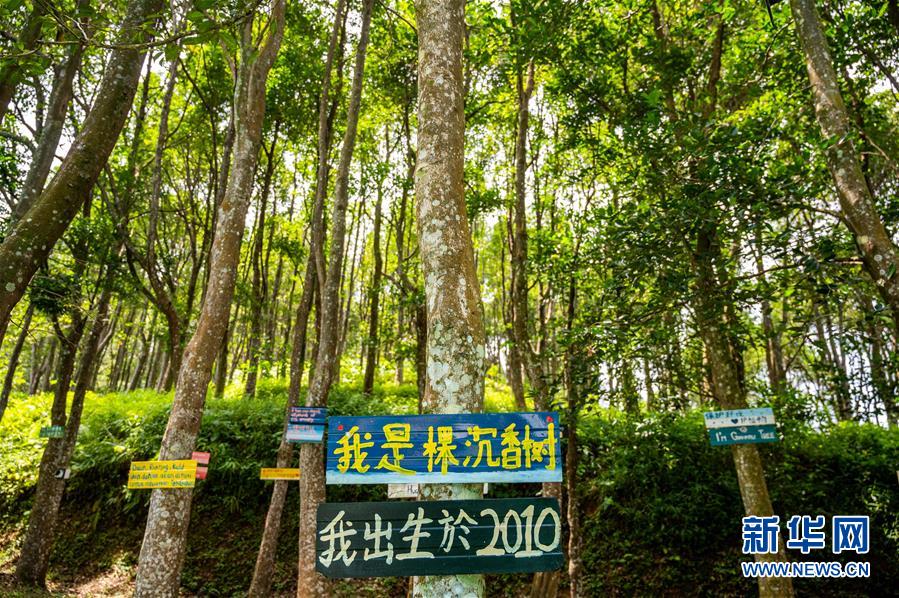 (第三屆進(jìn)博會(huì)·圖文互動(dòng))(10)專訪:進(jìn)博會(huì)提供了一個(gè)共享中國(guó)發(fā)展機(jī)遇的平臺(tái)