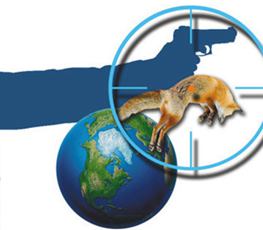 中國全球&ldquo;獵狐&rdquo;戰果豐碩！